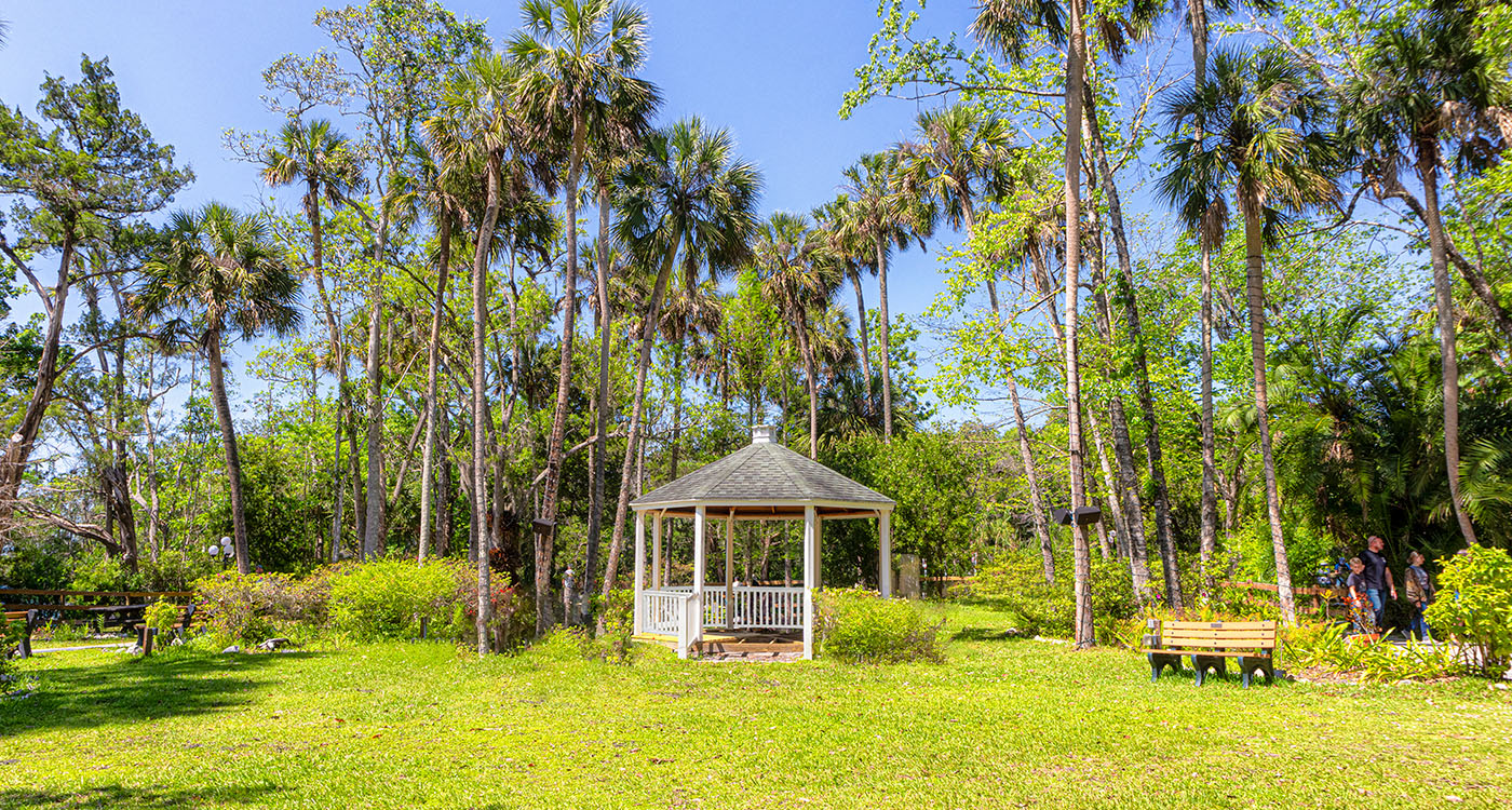 Florida river detecting laws Friendly Metal Detecting Forum