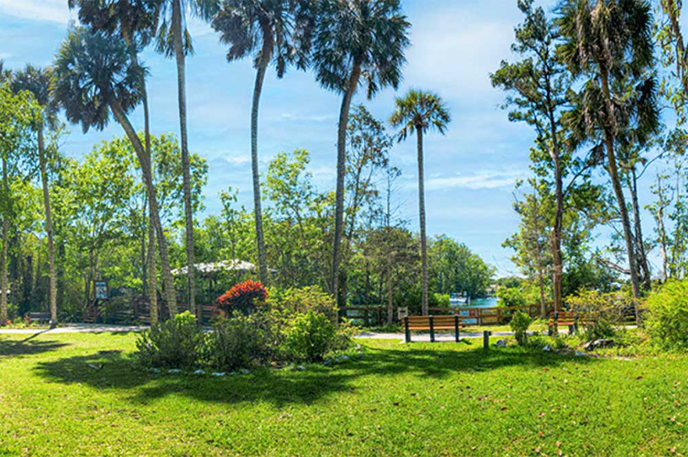 Homosassa Springs Wildlife State Park Nature View