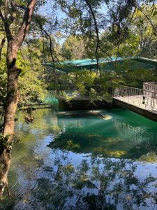Homosassa Springs April