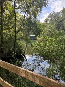 Hiking Trails
