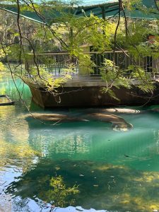 Homosassa State Park