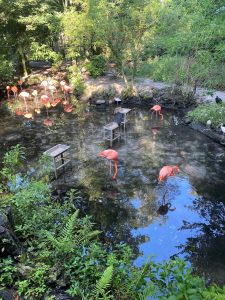 Homosassa Springs
