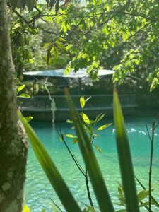Homosassa Water In Summer